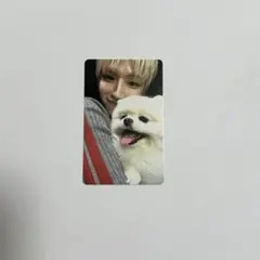 BOYNEXTDOOR リウ　weverse global チャンイ トレカ