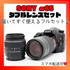 2026年最新】α65 レンズの人気アイテム - メルカリ