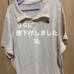SHEIN Dazy plus 大きいサイズ　半袖ニットシャツ　4Lさらに値下げのサムネイル