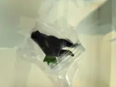 ディズニーヴィランズ　ファッションリングコレクション　マレフィセント　ドラゴン