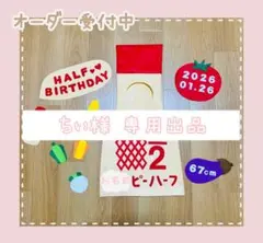 ちぃ様 専用出品