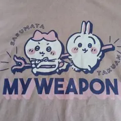 ちいかわ Tシャツ ハチワレ、うさぎ ピンクベージュ 4Lのサムネイル
