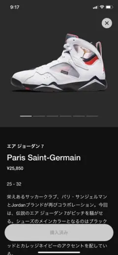 エアジョーダン7 パリ・サンジェルマンコラボ