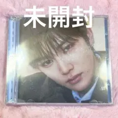 ald1 ジュエルケース　アンシン