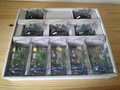 カメイガラス　タンブラーセット　未使用品