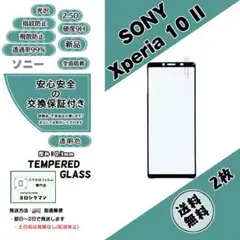 2枚Xperia 10 II ガラスフィルムd