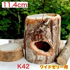 2026年最新】昆虫用止まり木・インセクトシェルターの人気アイテム