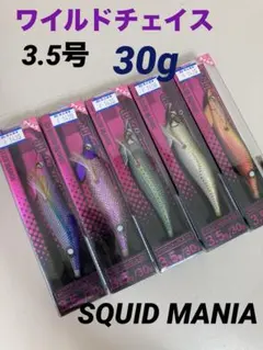 ワイルドチェイス　B-TR 3.5号　30g 5個セット スクイッドマニアのサムネイル