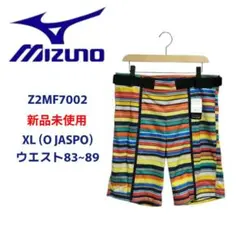 新品 MIZUNO ミズノ アルペンスキーウェア レーシングショートパンツ XL 新品 MIZUNO ミズノ アルペンスキーウェア レーシングショートパンツ