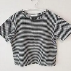 DISCOAT ボーダー 半袖 Tシャツ Mサイズ