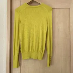 Item thumbnail for item f36b8e0a-0d67-49d1-9c96-972ffee04c74