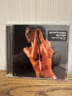 【IGGY POP】名盤RAW POWER/イギー•リミックス盤