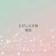 えびしらす様　専用