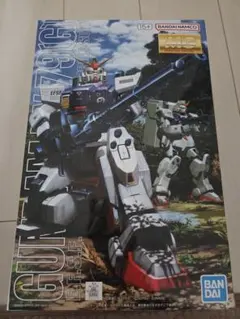未組立 C3 PRE限定 MG RX-79(G) 陸戦型ガンダム 森林用A 未組立 C3 PRE限定 MG RX-79(G) 陸戦型ガンダム 砂漠用B