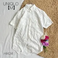 Item thumbnail for item 8fd7ff88-a28a-4a20-a918-20e98e767bd9