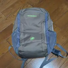 Item thumbnail for item c065d41f-4fba-4d9e-bd7c-f4d9ad4bcc59