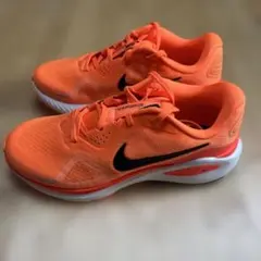 NIKE ストラクチャー26 25.0cm 新品・未使用
