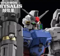 2026年最新】ソロモン サイサリスの人気アイテム - メルカリ