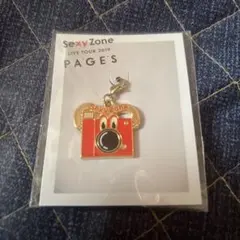 SexyZone PAGES 会場限定チャーム　新潟　カメラ　マリウス葉