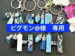 ピグモン@年末年始12/27～1/4休み様 リクエスト 4点 まとめ商品