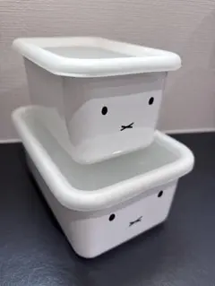 Item thumbnail for item ac402937-363c-4bd2-9b62-3a5bf0edb546