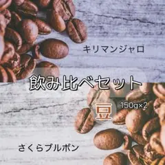 【人気セット】コーヒー豆 飲み比べ 150g×2 新鮮発送
