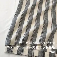 FX/5603●1m 限定/綿100%スペックボーダー天竺ニット生地/カール生地