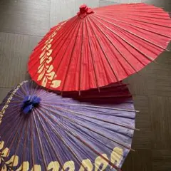 【超美品】【早い者勝ち】高級羽二重傘　京蛇の目傘　2本セット