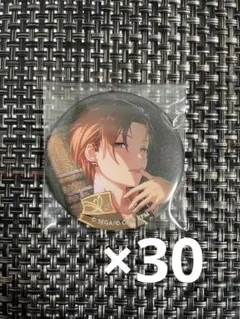 東雲彰人　缶バッジ　30点セット