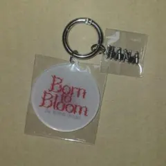 HANA Born to Bloom 1st TOUR キーホルダー - メルカリ
