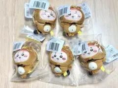 たぬきだもんくじ　C賞 ぜったいたぬきなマスコット　古本屋　5個セット