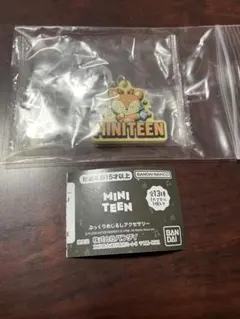 MINITEEN ぷっくりめじるしアクセサリー ミニティーン SHUASUMI