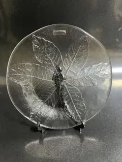 最終お値下げ:希少！新品未使用:コスタボダお皿7枚セット 2025年最新】KOSTA BODA 食器の人気アイテム - メルカリ