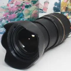 Item thumbnail for item 3d08bf03-8578-491b-9085-e0d6a8dca50b