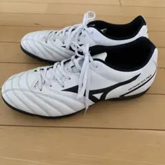 Item thumbnail for item 511fbed8-e069-4cfd-a82d-69fa8593f092