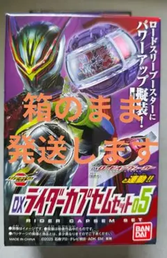 DXライダーカプセムセット05