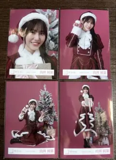 櫻坂46 生写真　2025年　サンタ衣装　向井純葉　フルコンプ