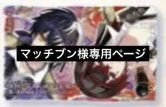 マッチブン様専用ページ