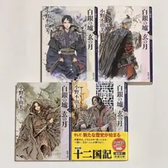 白銀の墟 玄の月 十二国記 第一巻〜第四巻 4冊セット - メルカリ