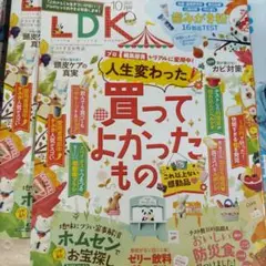 LDK2025年 10月号 人生変わった! 買ってよかったもの