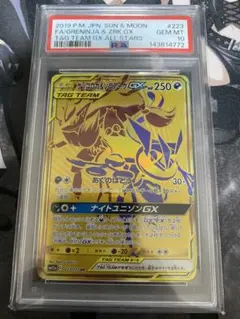 ビ*ン様 メガレックウザ ゲンシカイオーガ ゲンシグラードン ur - メルカリ