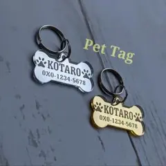 Item thumbnail for item 2a8db675-9c46-4ed7-a978-0bacc71a8579