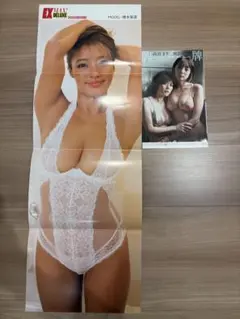 橋本梨奈・藤乃あおいビッグポスター おまけ付き