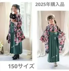 キャサリンコテージ　袴セット　150サイズ