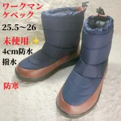 Item thumbnail for item 73be0cfd-3d7f-491d-ab1b-0cc8990fa4bf