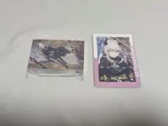 暁山瑞希 ロウワー ボクのあしあとキミのゆくさき エピカ ノーブルアート