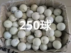 ゴルフボール多数 ホワイト　練習用　ジャンク