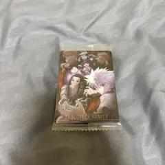 HUNTER × HUNTER ゾルディック家 キルア イルミ