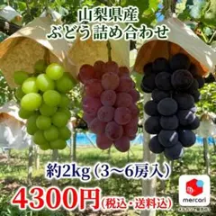 30日発送【山梨県産】ブラックビート秀品5kg 産地直送 - メルカリ
