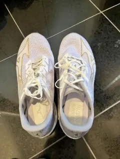 Item thumbnail for item 57405c05-a5fd-4f91-be95-dce8f3f74f03